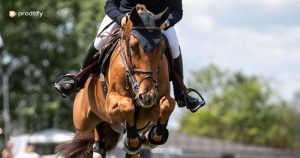 Photo évènement sportif